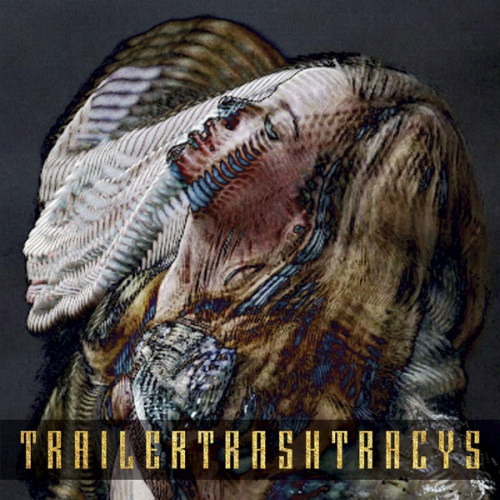 TRAILER TRASH TRACYS - ESTERTRAILER TRASH TRACYS ESTER.jpg